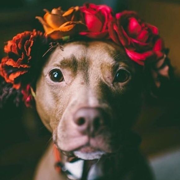 Meet your Posher, Terry - Picture 1 of 1